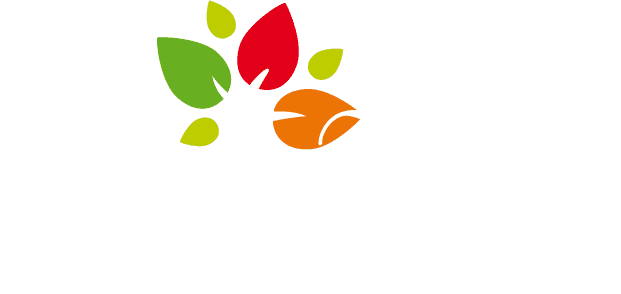 Deley's Parket