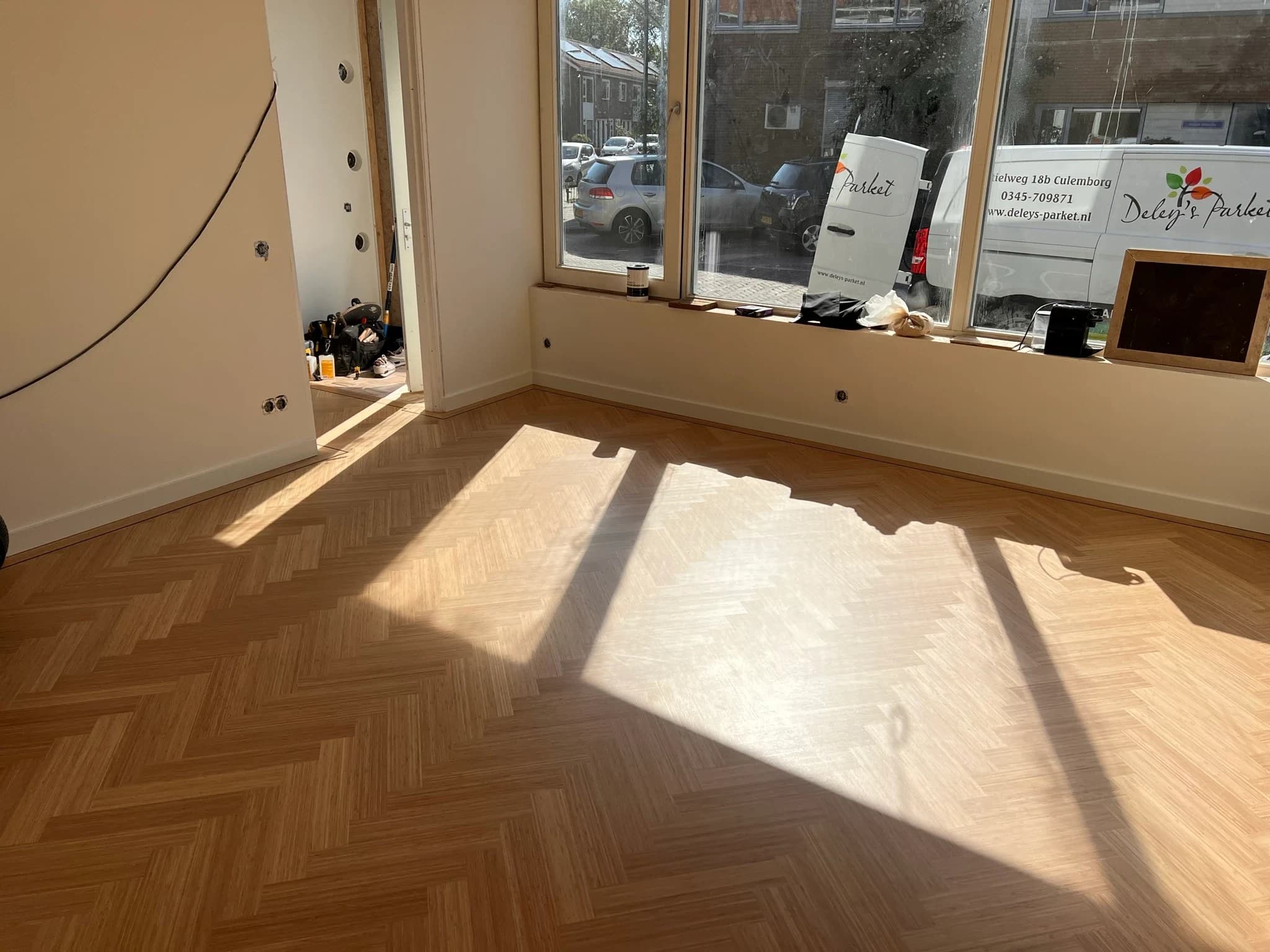 Bamboe visgraat in warm zonlicht, Wageningen